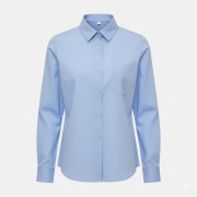 BT MARCEL HUGHES L_S BLOUSE